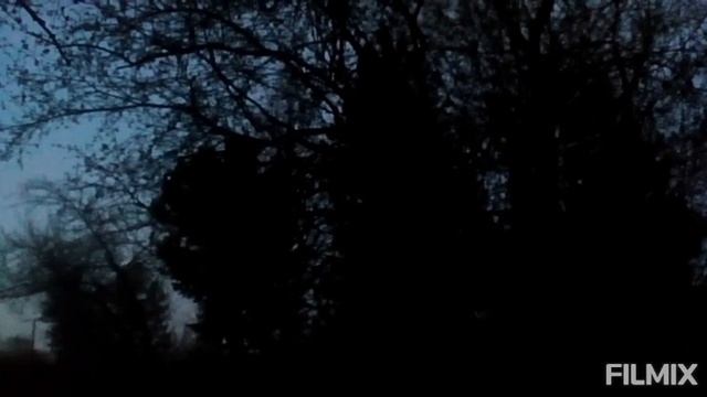 Соловей обыкновенный. Легенда в твой дом. смотреть онлайн