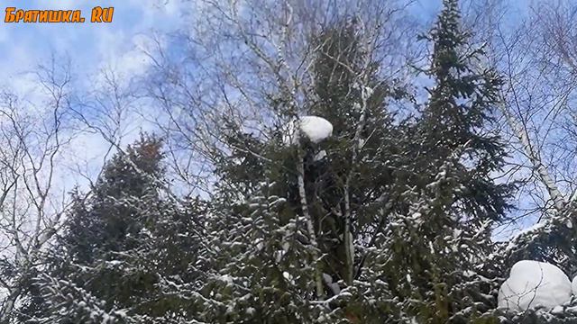 Зимняя природа. смотреть онлайн