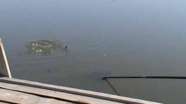 Фидер Заброс, вываживание музыка смотреть онлайн