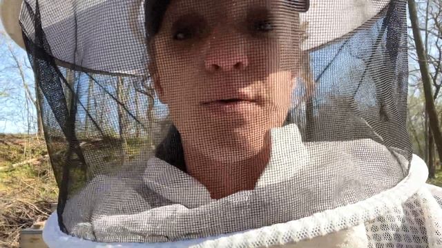 5 Tricks To PREVENT Your Bees From SWARMING / Beekeeping 101 #beekeeping смотреть онлайн