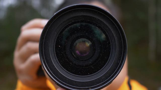 КАКОЙ ФОТОАППАРАТ ВЫБРАТЬ НОВИЧКУ. 3 типа фотокамер смотреть онлайн