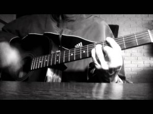 Жека - Сосны-кедры (cover)