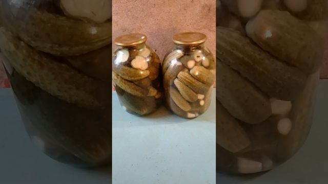 Маринованные огурцы без стерилизации #shortsvideo смотреть онлайн