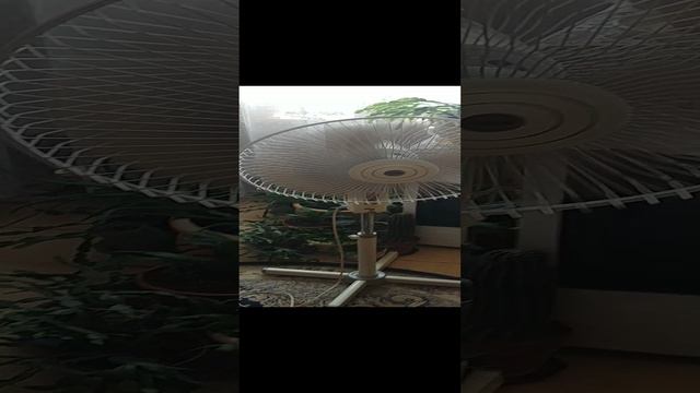 20230727_Жена приехала смотреть онлайн