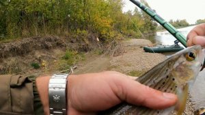 Болонское удилище для ловли хариуса.