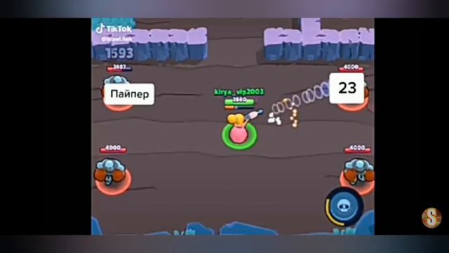 Моя тик ток анкета смотреть онлайн