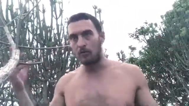 ИНСТА ЛЯРВЫ! (Денис Педант) смотреть онлайн