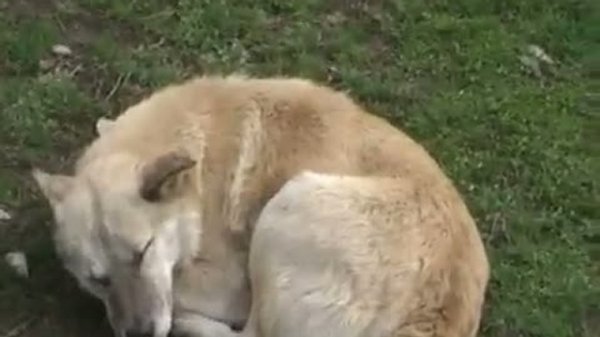 Культурное наследие...