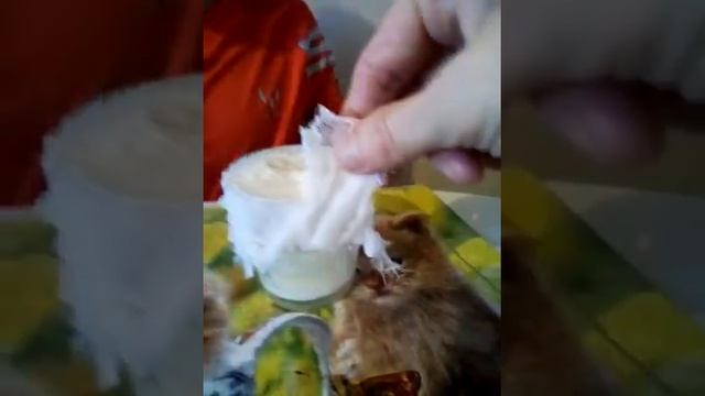 Творожок из молока и хлористого кальция. смотреть онлайн