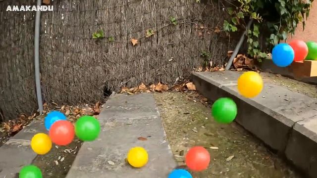 1000 Marbles in a Super Slide Marble Run vs Water Balloons смотреть онлайн