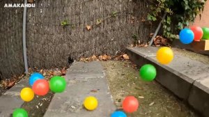 1000 Marbles in a Super Slide Marble Run vs Water Balloons