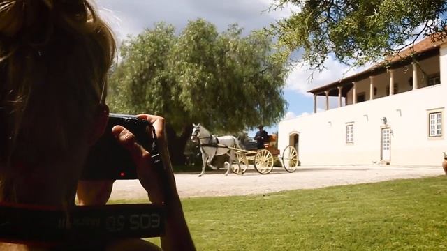 Lusitano World's Equine Photo Workshop With Katya Druz