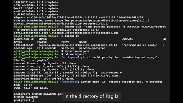 How To Generate Data With Pagila in Percona Distribution for PostgreSQL смотреть онлайн