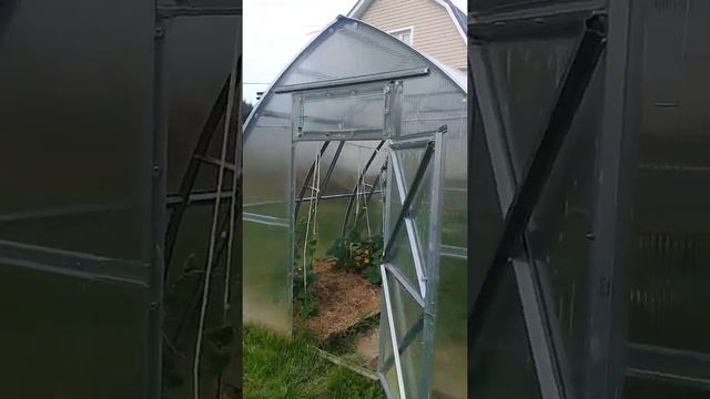 Моя любимая дача! смотреть онлайн