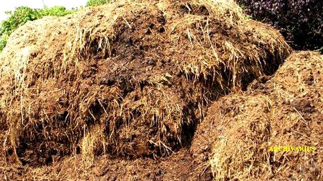 Похитители тел. смотреть онлайн