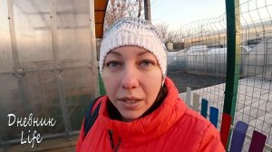 ВЫБИРАЮ ТЕПЛИЦУ: КАПЕЛЬКА, ПРЯМОСТЕННАЯ ИЛИ АРОЧНАЯ-ЧТО ЛУЧШЕ?