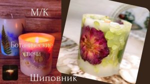 Ботанические свечи м/к