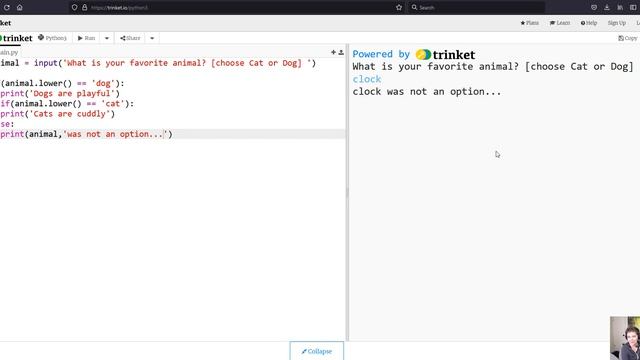 Conditional Statements and User Input in Python смотреть онлайн