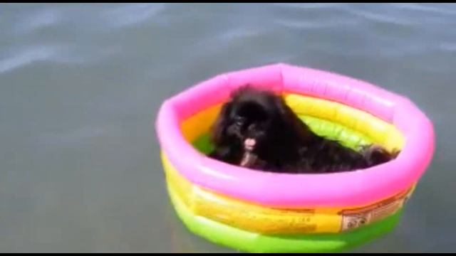О море, море смотреть онлайн