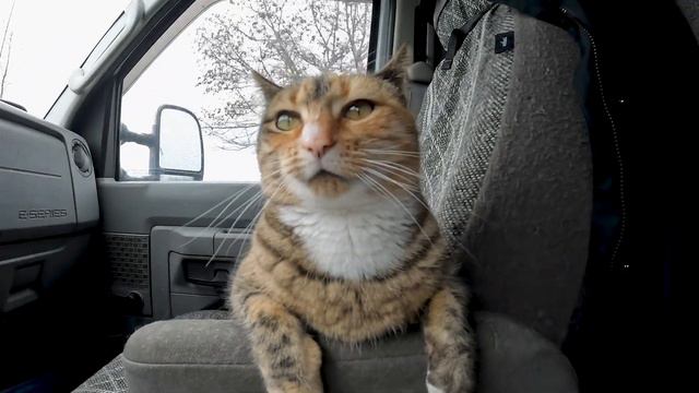 Some important questions and four seasons in a day | Van life смотреть онлайн