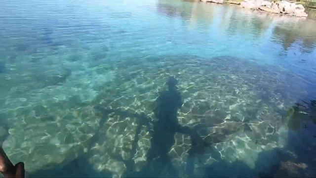 MUST SEE!! XEL-HA Adventure Park- Mexico trip 2022 PLAYA DEL CARMEN! смотреть онлайн