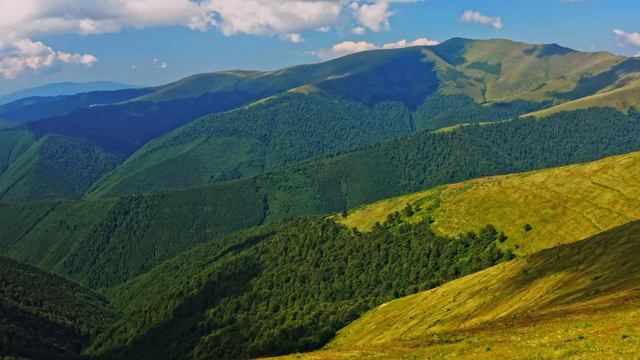 Relaxing Music with Beautiful Nature --japanese-hotchiku-flute music by nature videos смотреть онлайн