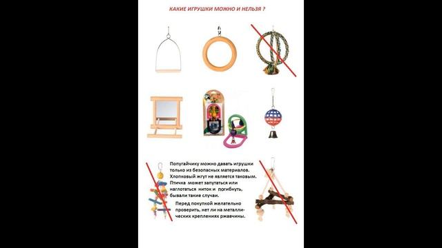 Как выбрать клетку попугаю? смотреть онлайн