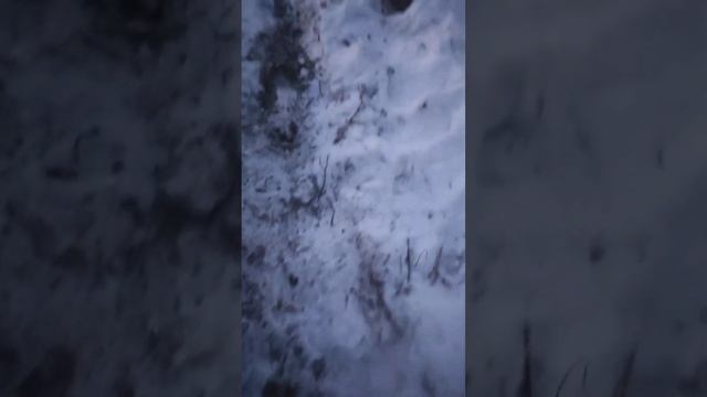 Прокат квадроциклов и снегоходов в Перми - Рабочая командировка на квадроцикле 2 смотреть онлайн