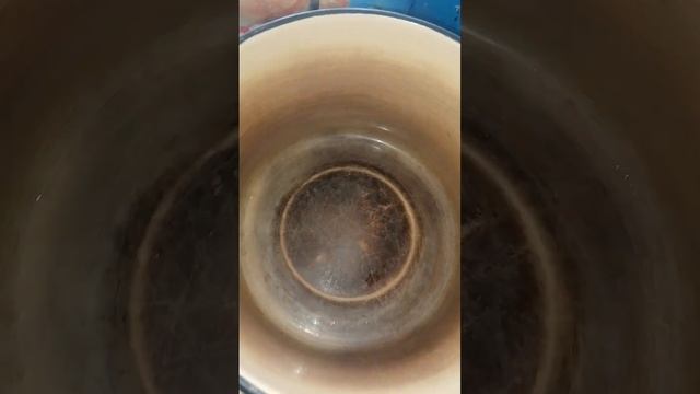 Салат огурцы, помидоры, лук репчатый. ваш повар комнатный ? обнял приподнял на место поставил ? смотреть онлайн