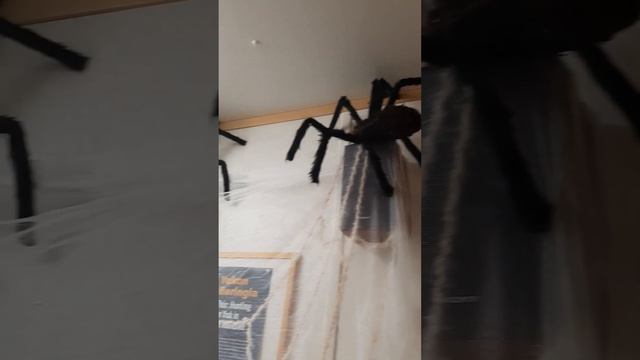 Dawson City, к нам пришёл Хеллоуин смотреть онлайн