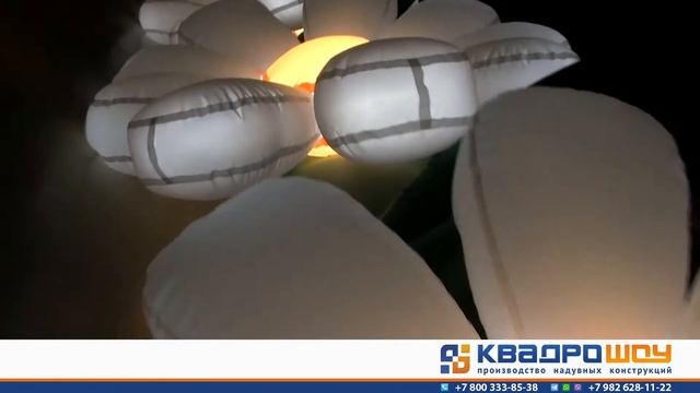 Пневмогирлянда с эффектом раскрытия «Ромашка» | Светодиодная подсветка | Цветы на свадьбу смотреть онлайн