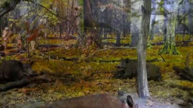 Музей Беловежской пущи. Общее содержание смотреть онлайн