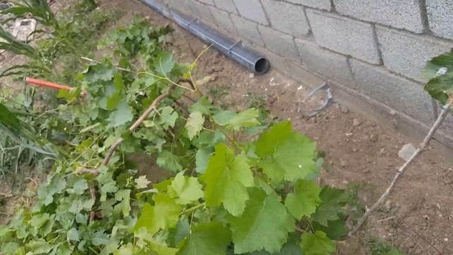 Канализация,какой должен быть уклон. смотреть онлайн
