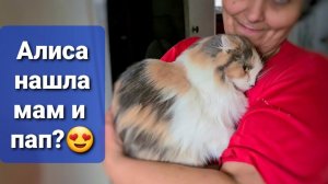 Алису забирают в Ростов У Перса совсем плохо с ушком♀️