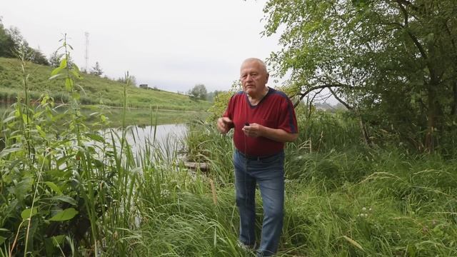 Как быстро накопить гумус в почве и жить, часть 2 смотреть онлайн