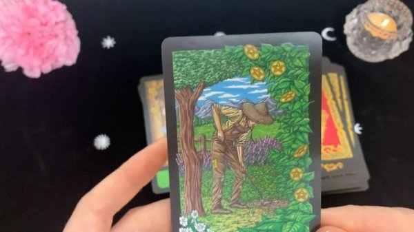 Обзор колоды “Mystical Realm Tarot”✨?✨Таро Мистического Царства.