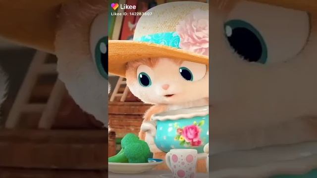 Правильная питание енота смотреть онлайн