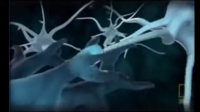 Здоровый ум