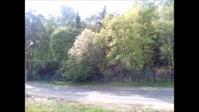 Растет Ближнее Переделкино смотреть онлайн