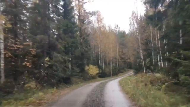 TERVA - Живописные ландшафты северной Карелии, заготовка материала смотреть онлайн