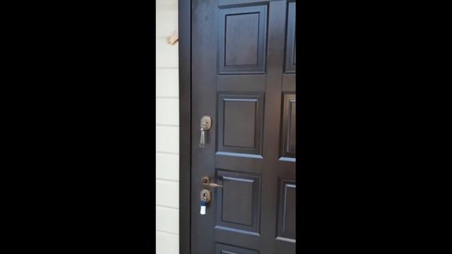 Уличная входная металлическая дверь в частный дом, которая не промерзнет.проект