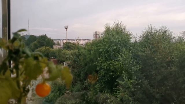 как живет пенсионерка. мысли о даче. #биробиджан #ужин #мысли #дача смотреть онлайн
