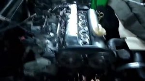 Метки грм Опель вектра б. Или слетающие сальники клапанов