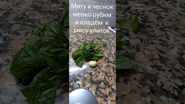 Как приготовить вкуснейшие морские улитки. смотреть онлайн