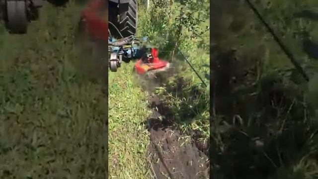 Насадки для SPEDO смотреть онлайн