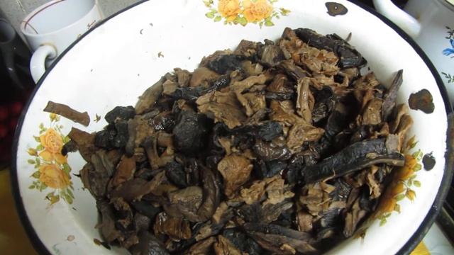 Компьютерные Игры и Летсплеи