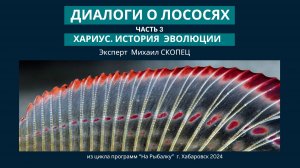 Диалоги о лососях. Часть 3. 
Эволюция хариуса