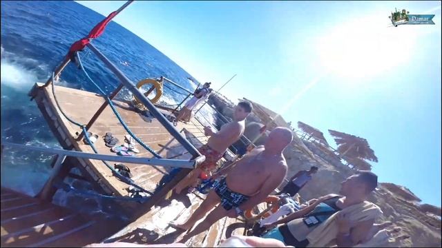 Sharming Inn Hotel 4*  Египет Шарм Это Было Весело Sharm El Sheikh 2020