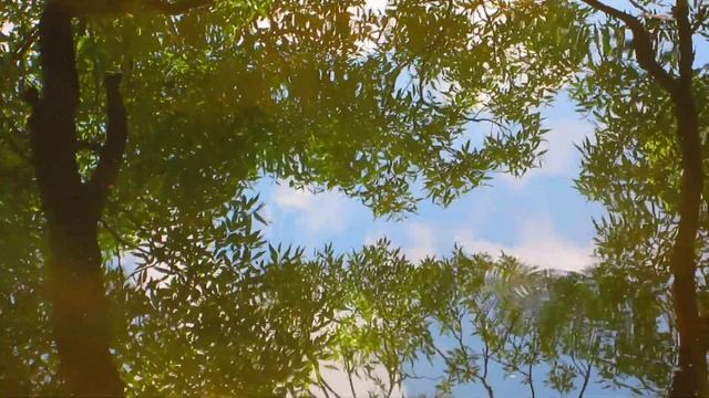 Отражение в воде смотреть онлайн