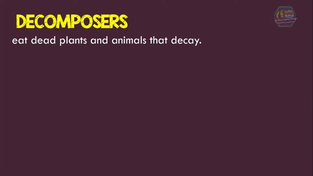 FOOD WEB & FOOD CHAIN | Animation смотреть онлайн